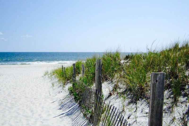 A beach with sand dunes and grass on the side.