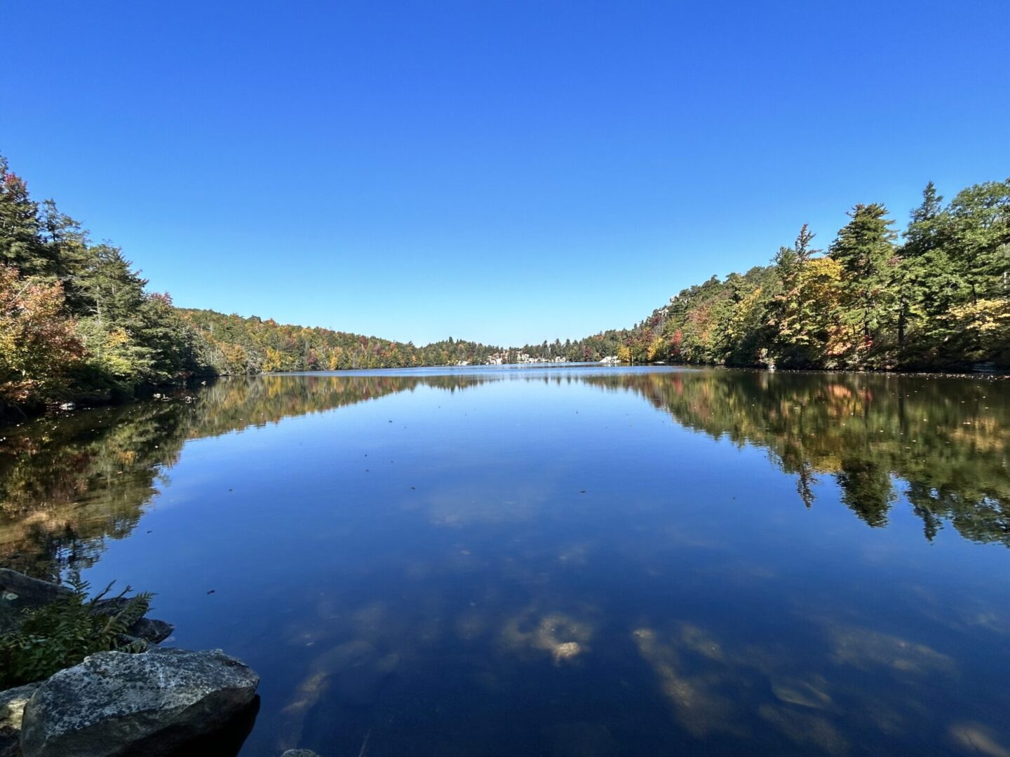 A body of water with trees in the background