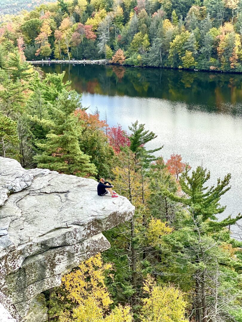 A bird sitting on top of a rock near water.