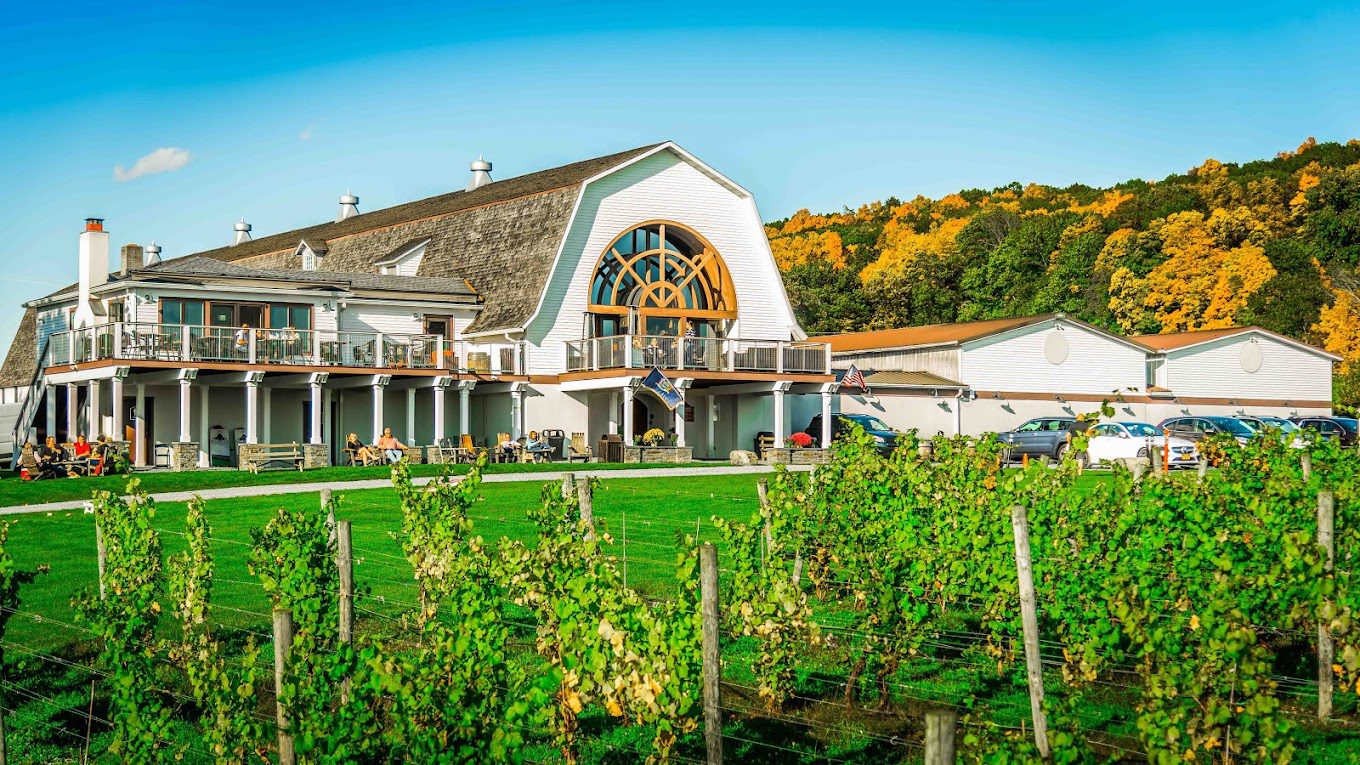 A large white building with vines growing on it.