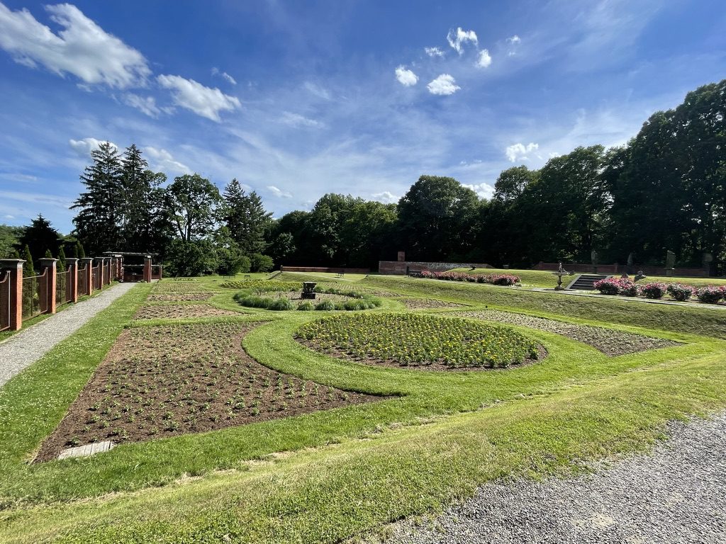 A garden with many different plants in it