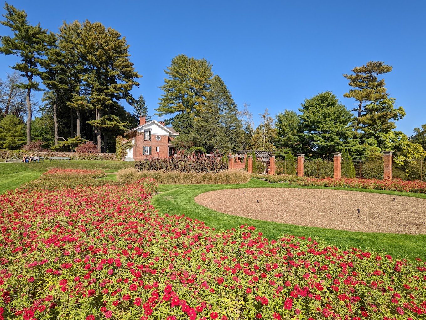 A field of flowers with trees in the background