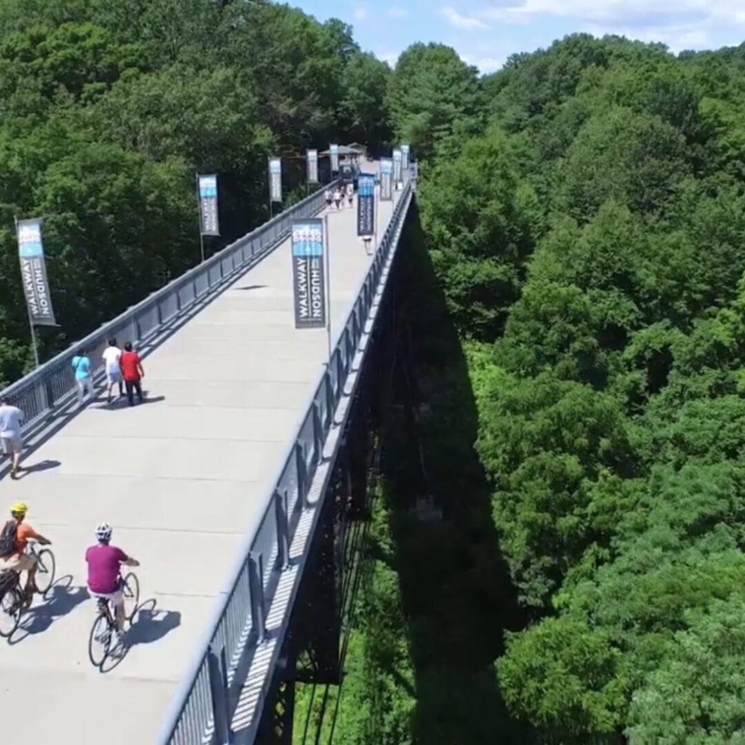 A bridge with people on it and trees in the background